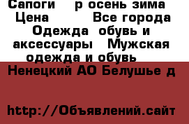 Сапоги 35 р.осень-зима  › Цена ­ 700 - Все города Одежда, обувь и аксессуары » Мужская одежда и обувь   . Ненецкий АО,Белушье д.